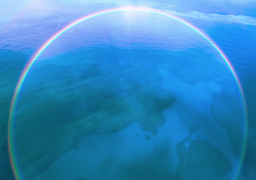 arcobaleno 7 lista
